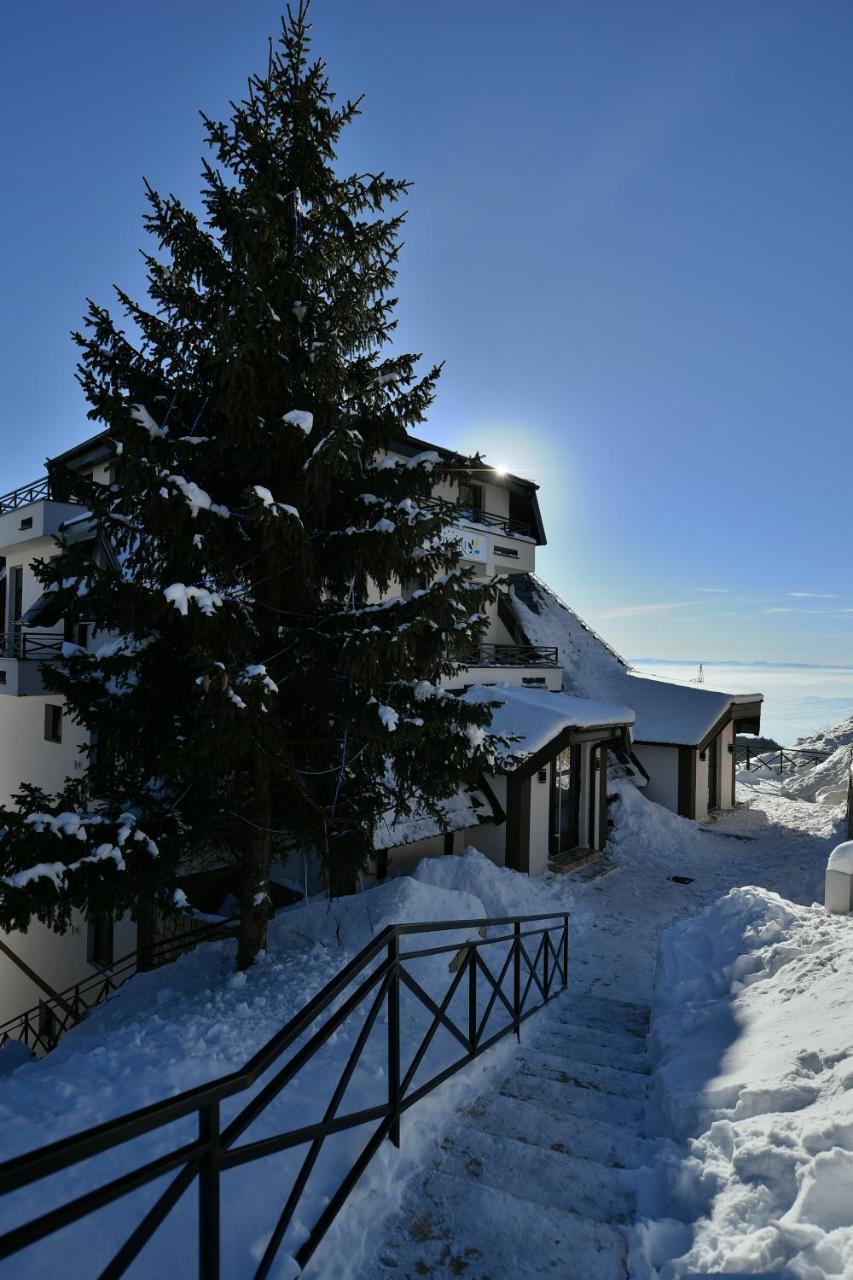 Apartman D52 Dvori Копаоник Екстер'єр фото